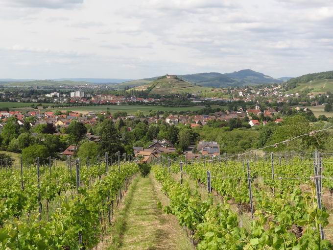 Grunern: Blick Staufen