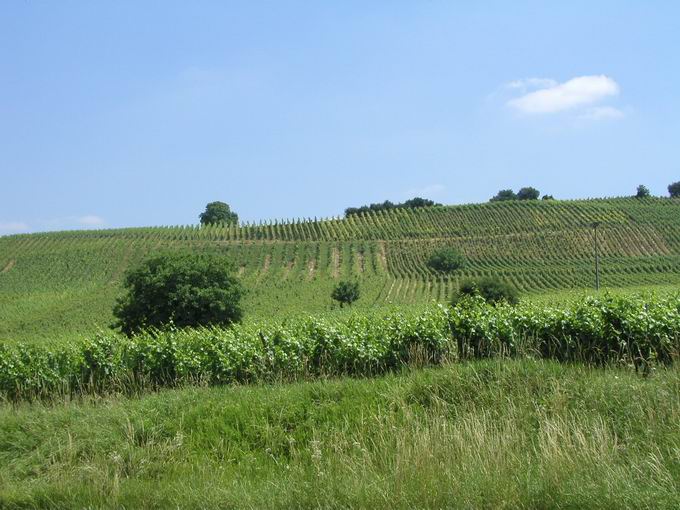 Grunerner Altenberg