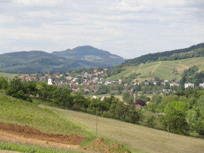 Probst`s Straußwirtschaft Grunern: Blick Schönberg