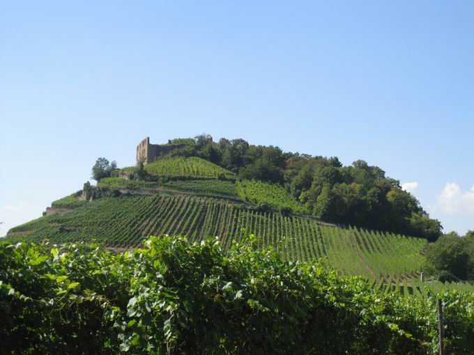 Burgruine Staufen im Breisgau