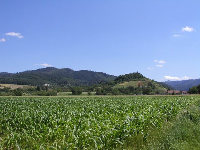 Burgruine Staufen im Breisgau