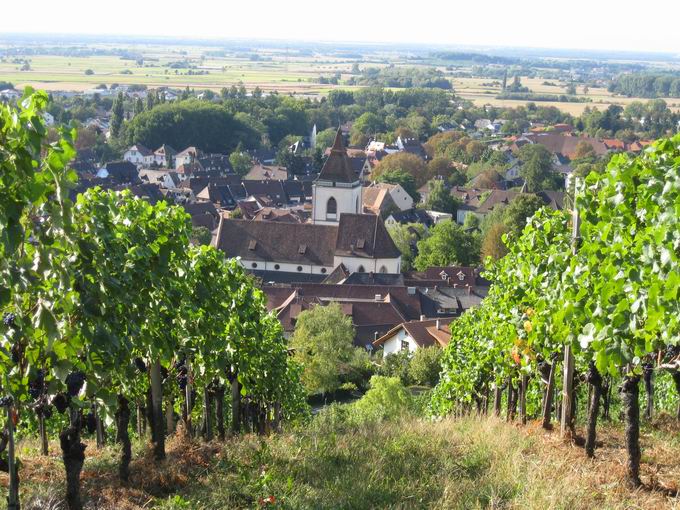 Staufen im Breisgau