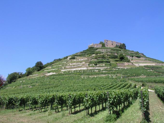 Staufen im Breisgau