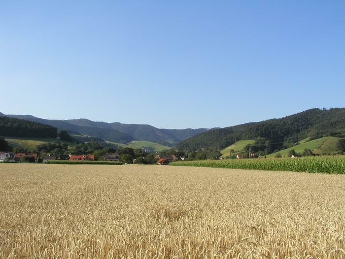 Eschbachtal bei Stegen