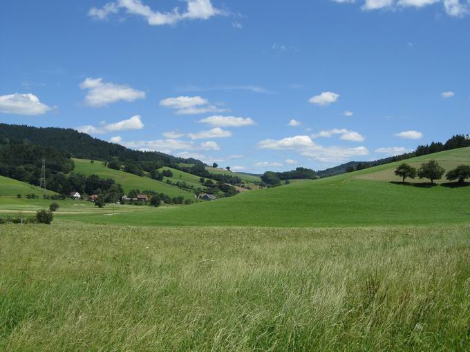 Reichenbachtal