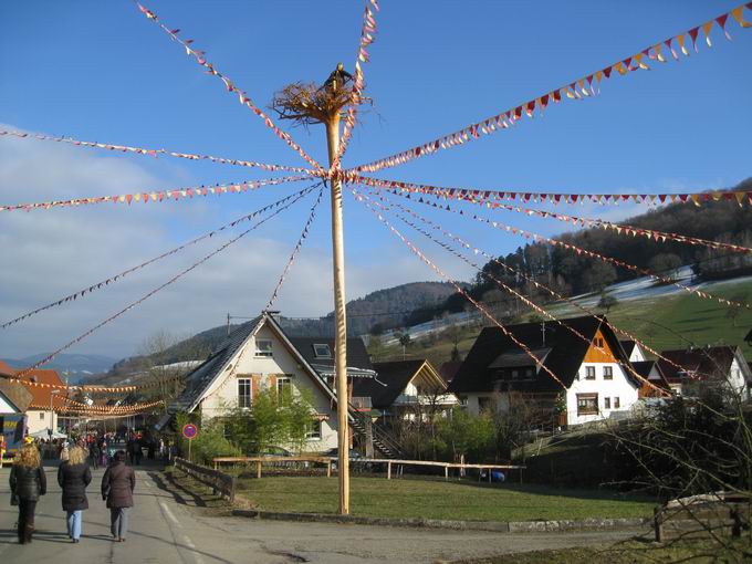 Umzug Narrentreffen 33 Jahre Bachdatscherzunft