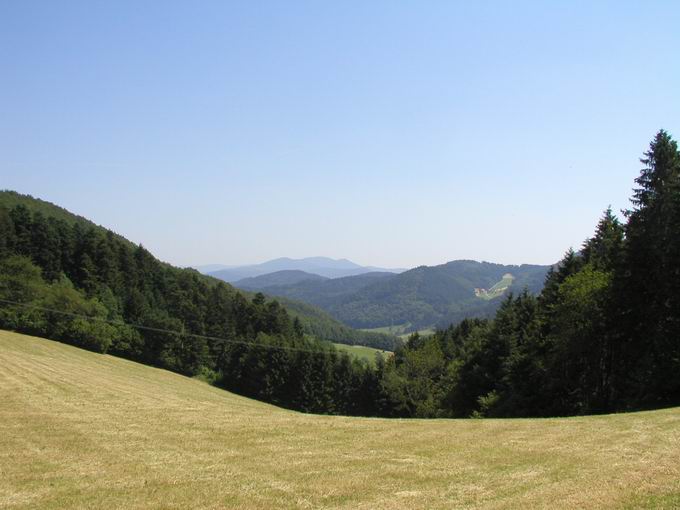 Welschensteinacher Tal