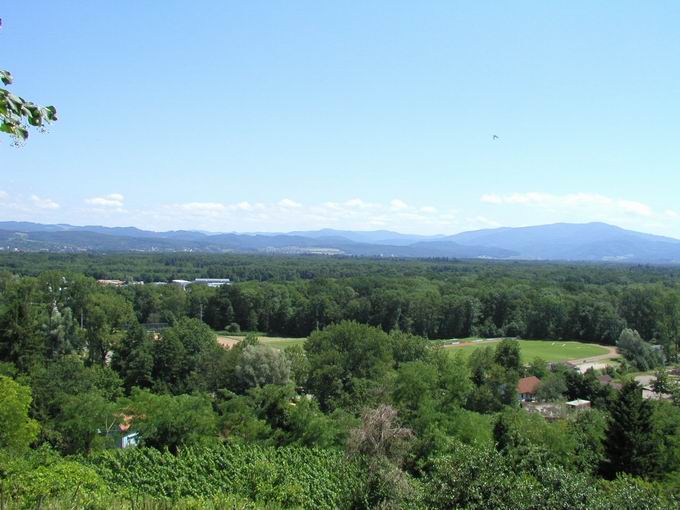 Teningen