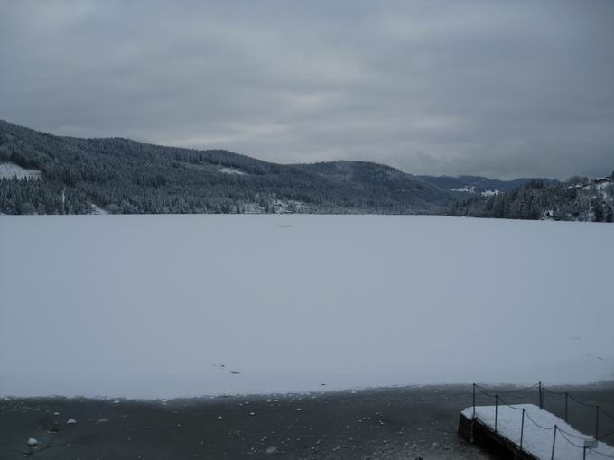 Seestrae Titisee: Winter am Titisee