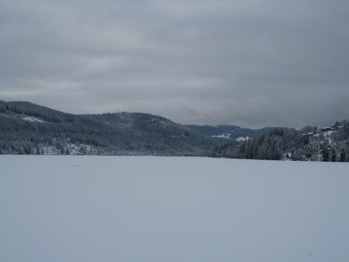 Seestrae Titisee: Blick Wolfbhl im Winter