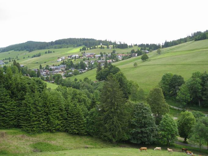 Todtnau