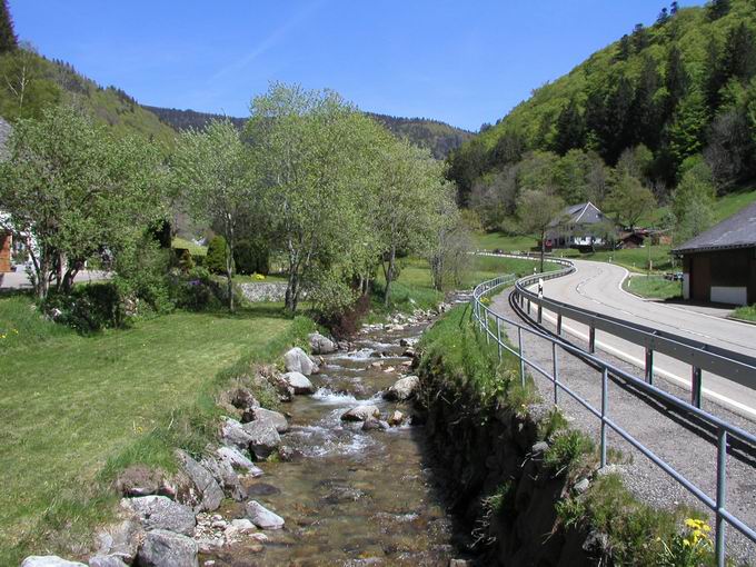 Fluss Wiese bei Fahl