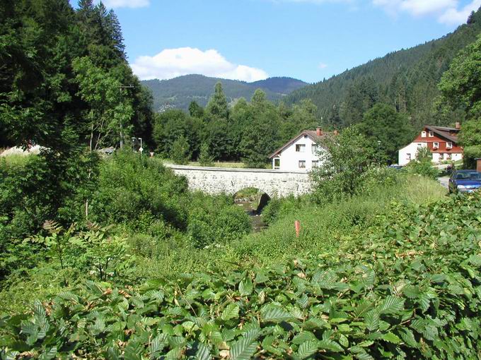 Fluss Wiese beim Hotel Waldeck bei Todtnau