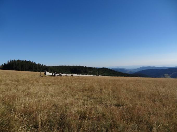 Baumliege Todtnauberg: Westansicht