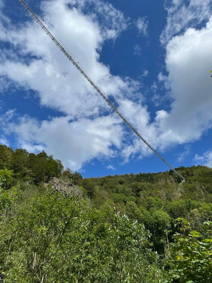 Todtnauer Wasserfall: Blick Blackforestline Hngebrcke