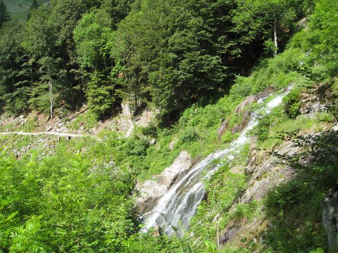 Todtnauer Wasserfall: Blick von Ostseite