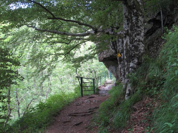 Todtnauer Wasserfall