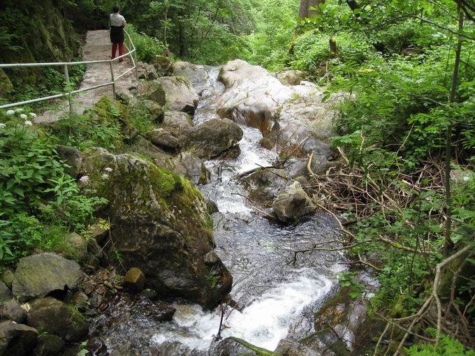 Todtnauer Wasserfall: Stbenbach an oberer Fallstufe