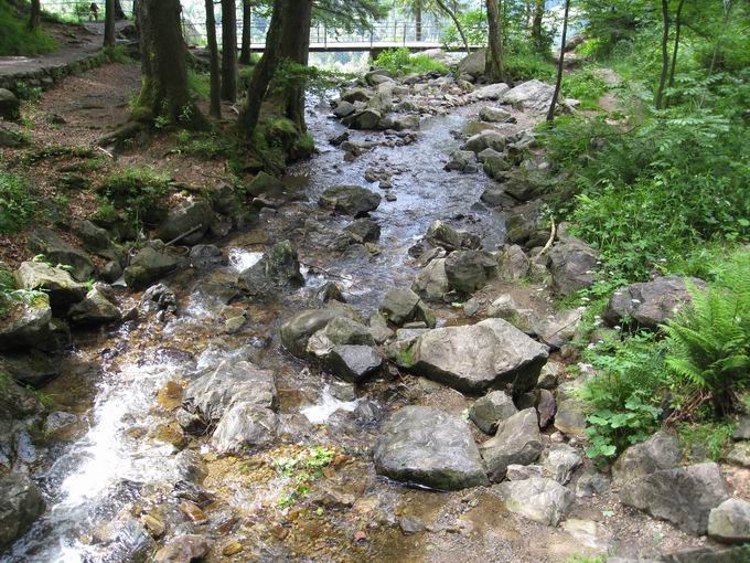 Todtnauer Wasserfall