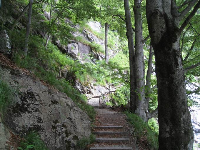 Todtnauer Wasserfall: Treppen westlich vom Hauptfall