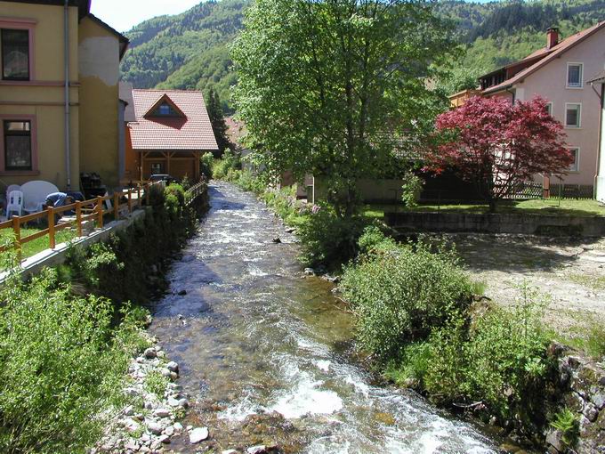 Wiese bei Todtnau