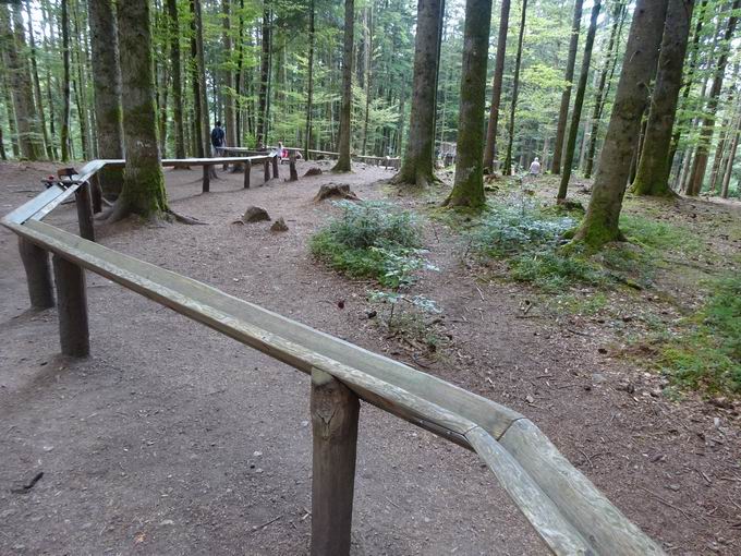 KugelWaldPfad Birkendorf: Bahn der Waldtiere