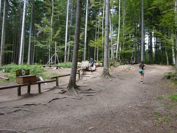 KugelWaldPfad Birkendorf: Bahn der Waldtiere Bild 3