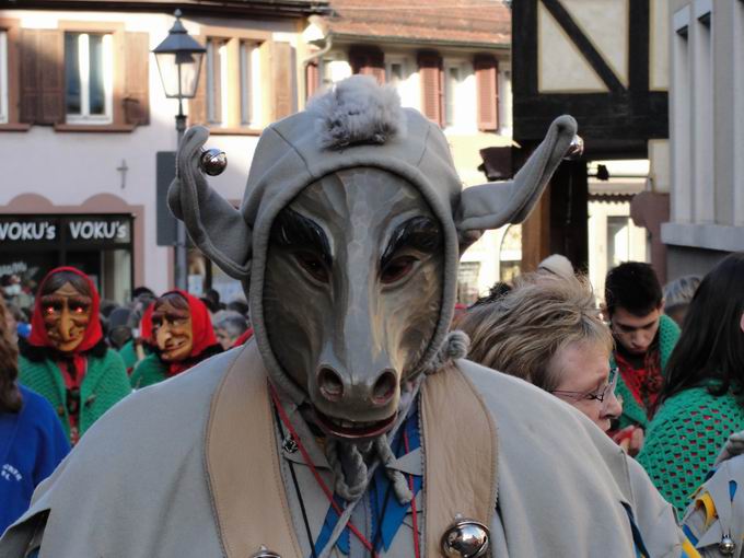 Umzug Narrentreffen Ettenheim 2008