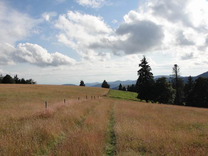 Landschaft beim Knpflesbrunnen