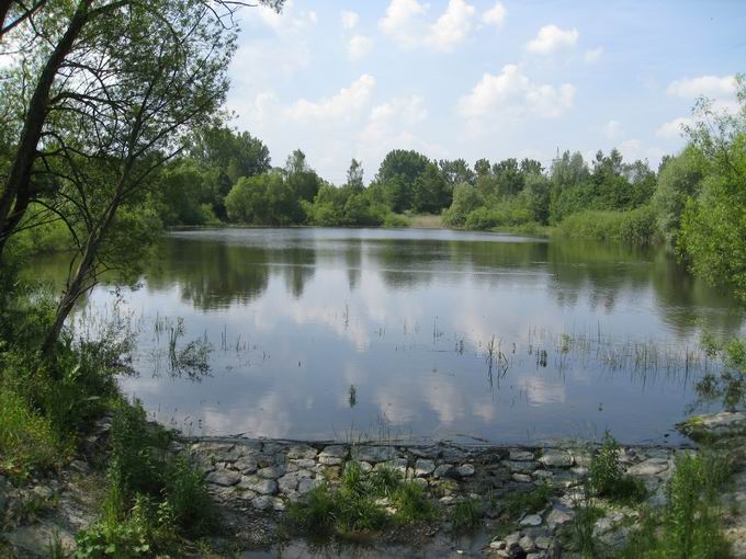 Bauchenbergweiher