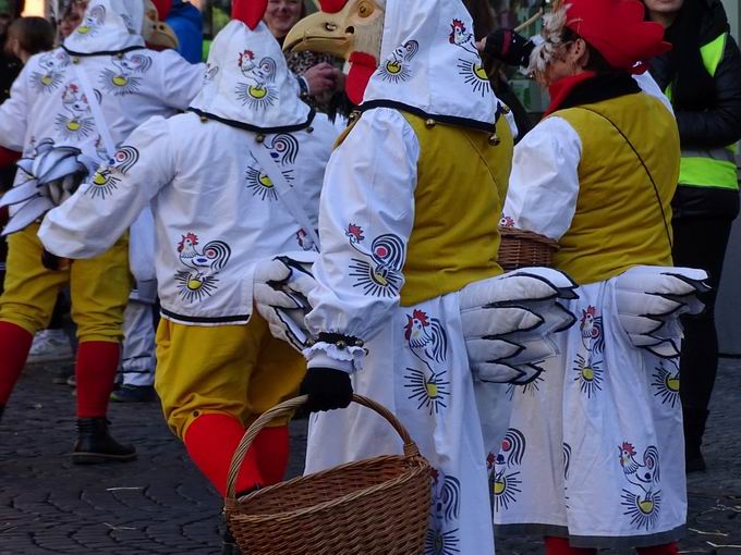 Sonntagsumzug Zhringer Narrentreffen Freiburg 2023