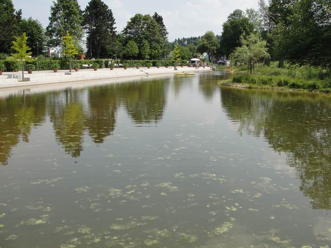 Schwenningen am Neckar