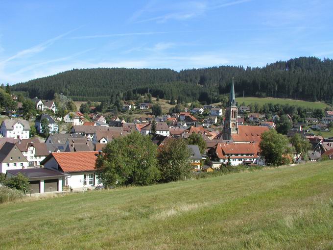 Schwarzwald-Baar-Kreis