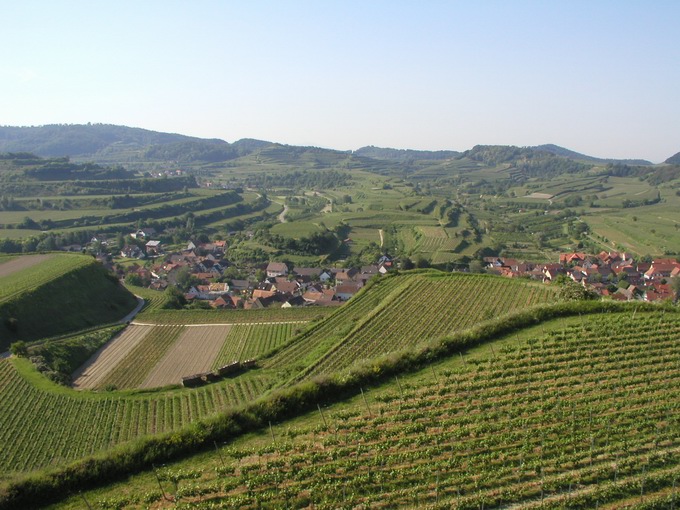 Vogtsburg im Kaiserstuhl