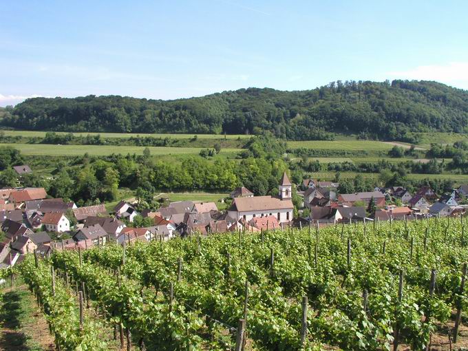 Achkarren am Kaiserstuhl