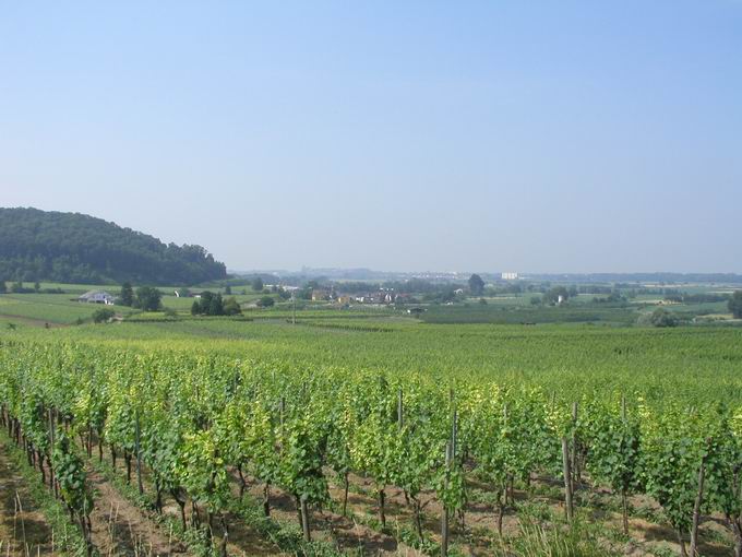 Achkarren am Kaiserstuhl