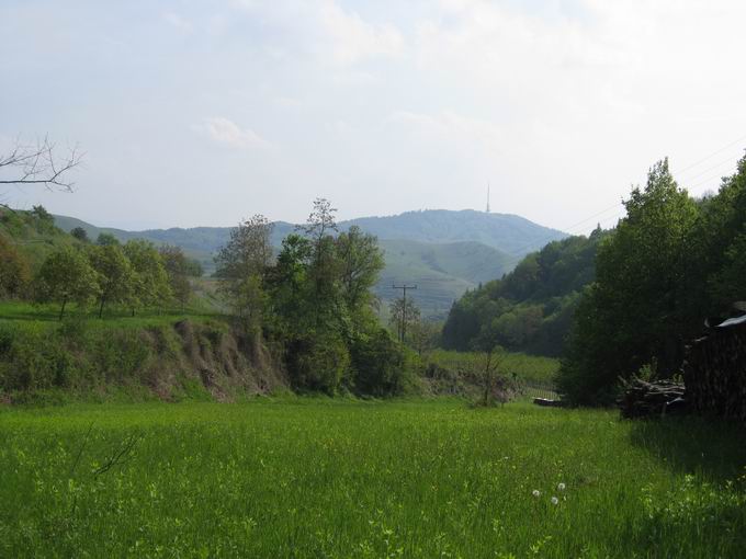 Schelingen im Kaiserstuhl