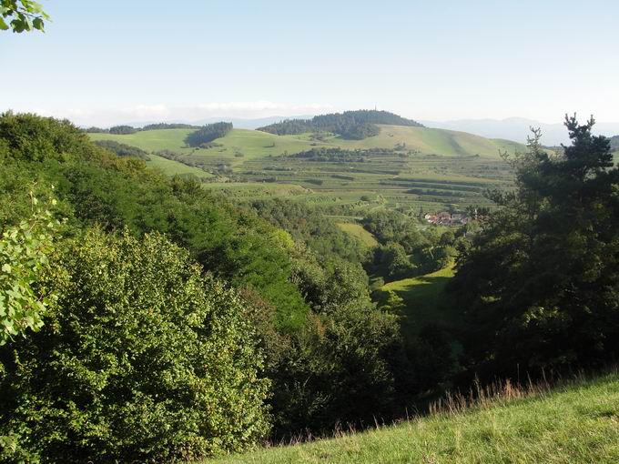 Schelingen im Kaiserstuhl