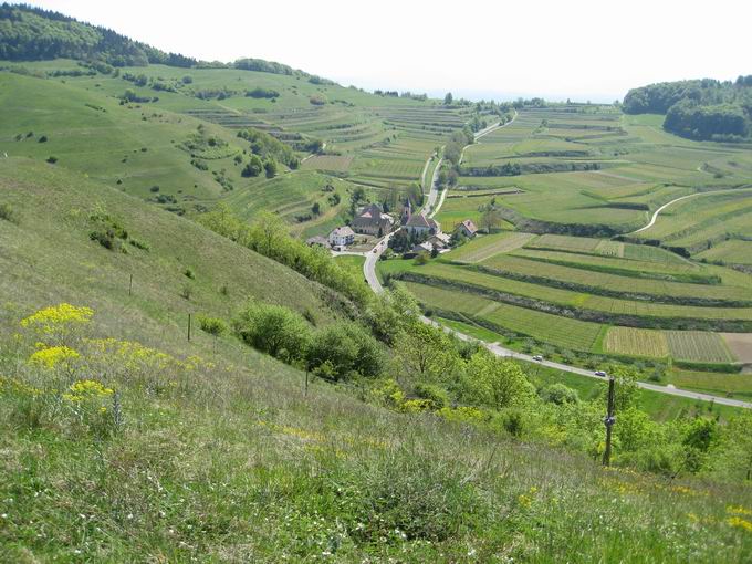 Badberg: Blick Altvogtsburg