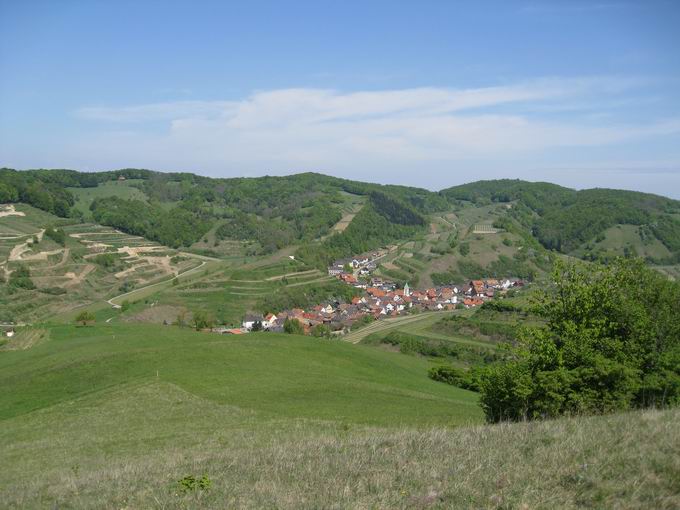 Schelingen im Kaiserstuhl