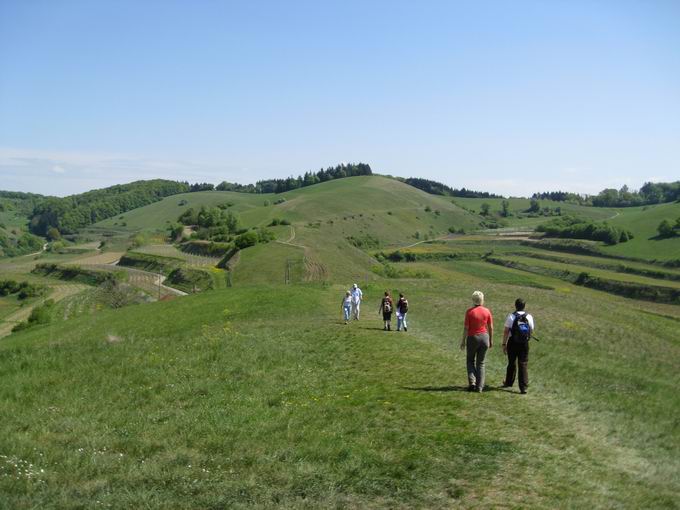 Schelingen im Kaiserstuhl