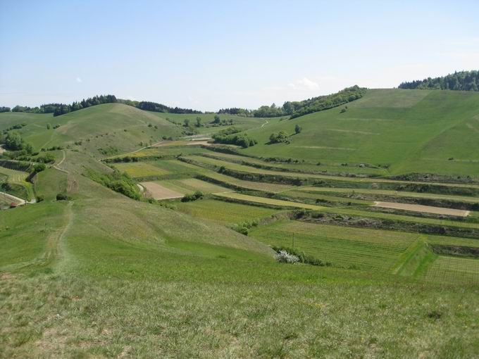 Badberg: Blick Eichstetter Tal