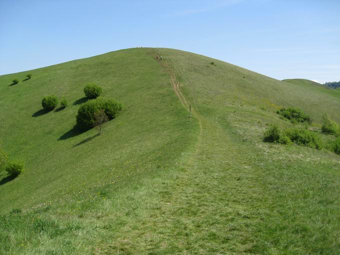 Gipfel Badberg