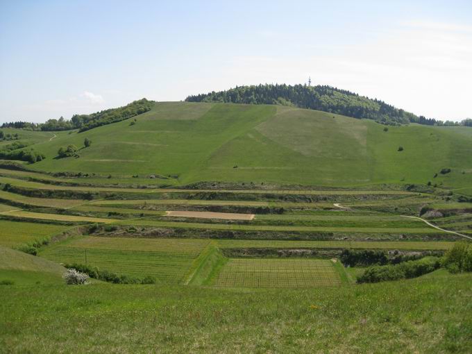 Badberg: Blick Haselschacherbuck