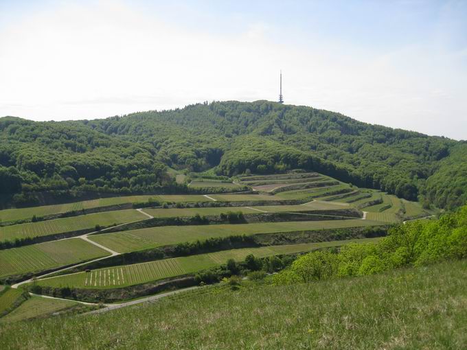 Oberbergen im Kaiserstuhl