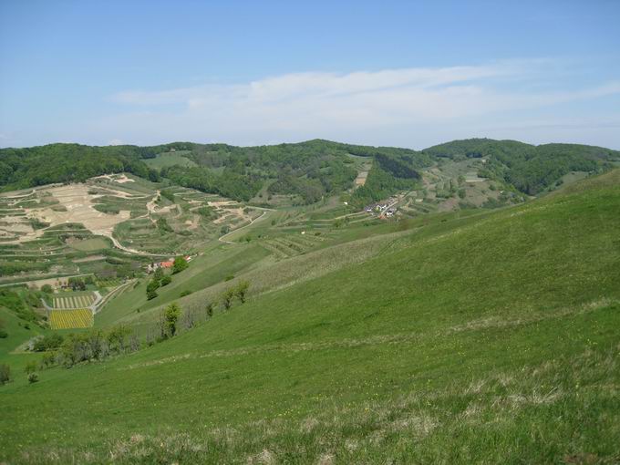 Badberg: Blick Katharinenberg