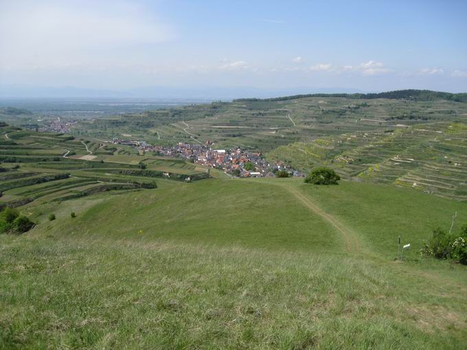 Badberg: Blick Krottenbachtal