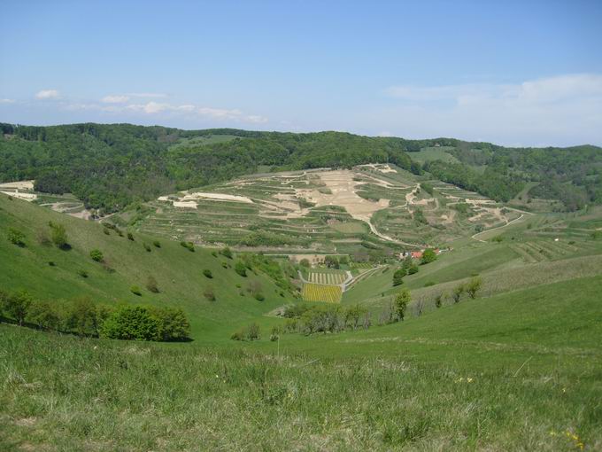 Schelingen im Kaiserstuhl