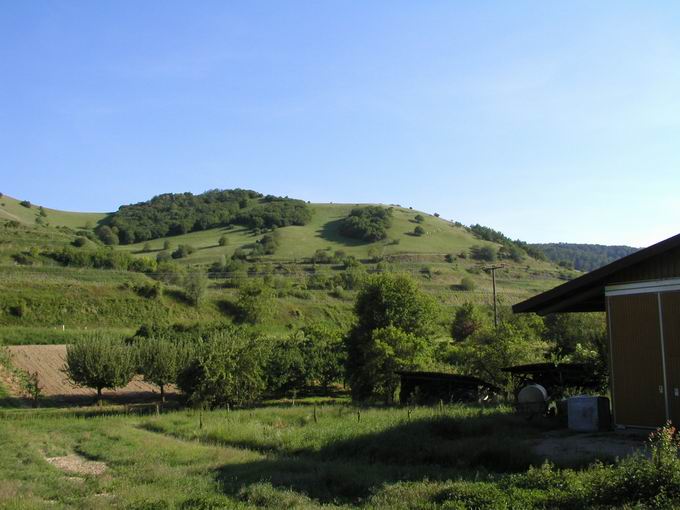 Schelingen im Kaiserstuhl