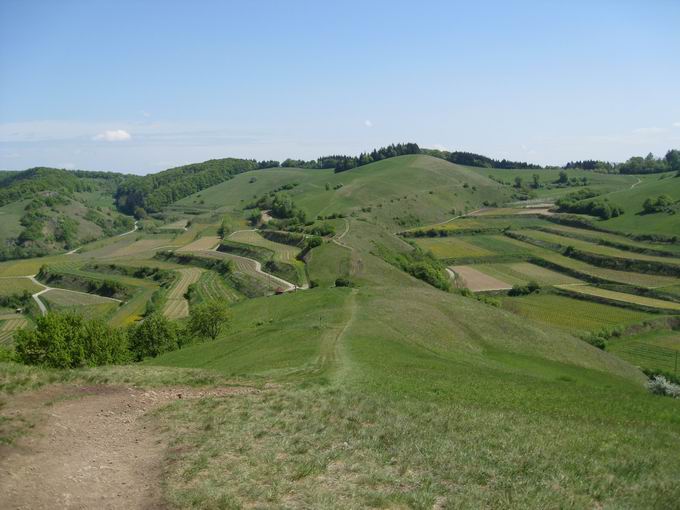 Badberg: Ostblick